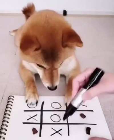He knows what will be next steps...