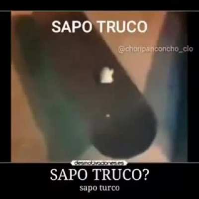 XD