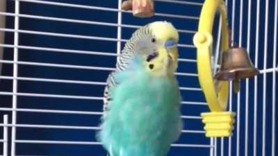 Yawning-ish