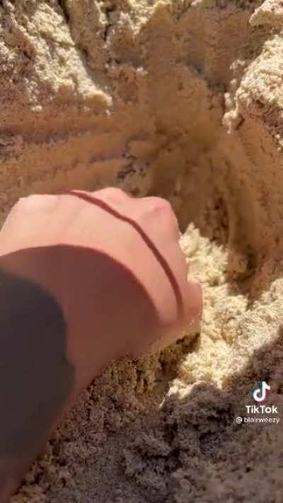 Digging in the sand&hellip;
