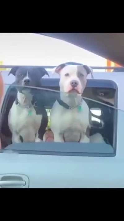 A surprise comes into scene