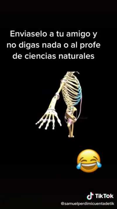 Pa que aprendan Bv