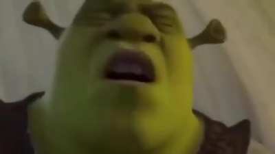 😳