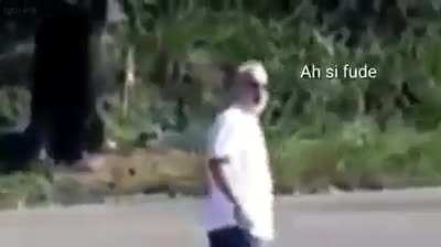 Dark v&ocirc;