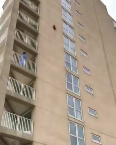 Spidercat OLV