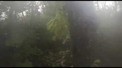 Headcam footage of Ukrainian soldiers in a firefight with Russian positions in a forest near Tverdohlibove, Luhansk Oblast during a raid a few weeks ago