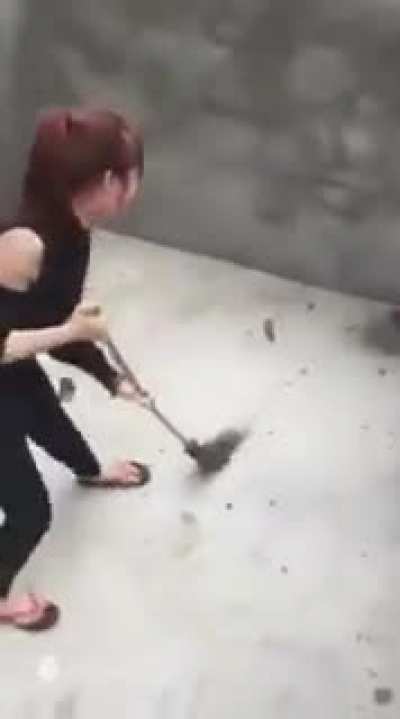 母人与鼠