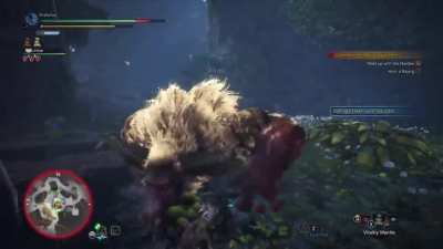 ....Thanks Rajang