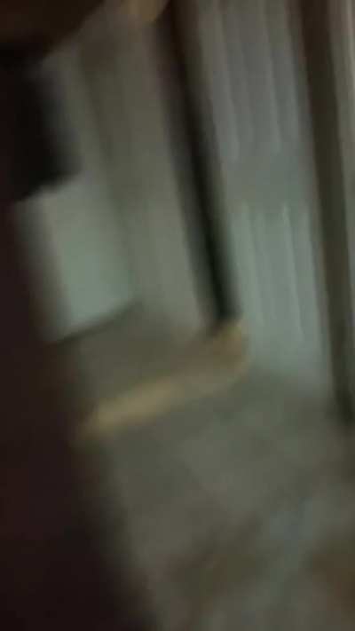 perfectlycutscreams - Video #7052