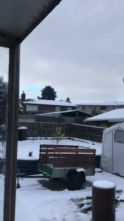 Snow down here in Tasmania today. According to Nan this is the first time she&rsquo;s seen snow at this level in her 60+ years in Launceston.