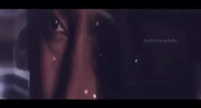 Bhoi universe