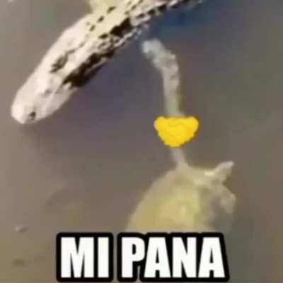 🤝
