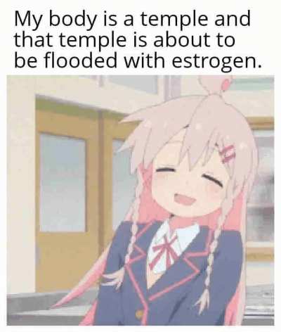 20550