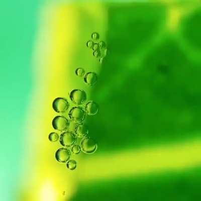 Real-time oxygen production on a leaf
