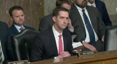 Senator Tom Cotton questions  TikTok CEO Shou Zi Chew if he’s ever been apart of the Chinese Community Party.  Shou Zi Chew is Singaporean. 