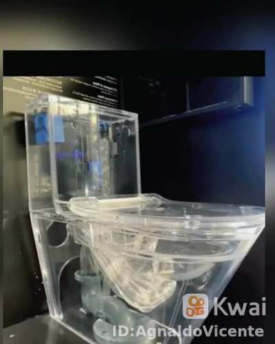cursed_toilet