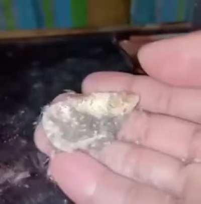 I feel my skin crawling.