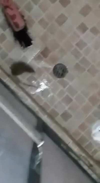 C&oacute;mo que voy a matar a mi compa😔😔