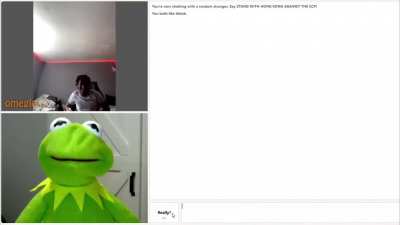 Kermit needs to chill