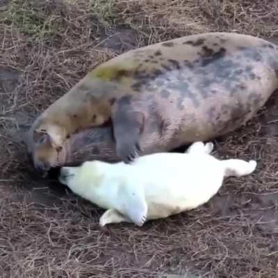 Mom, I'm ticklish!