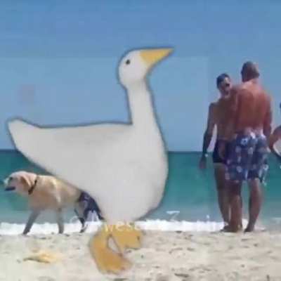 Me dolio la cabeza al hacer esto