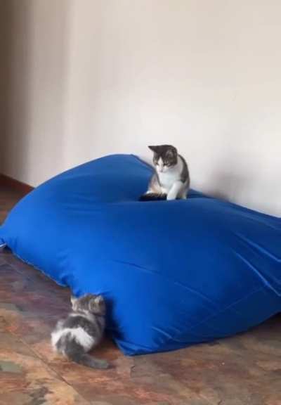 To jumpscare
