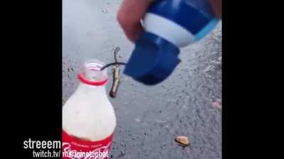 Cola Jet! (marioinatophat)