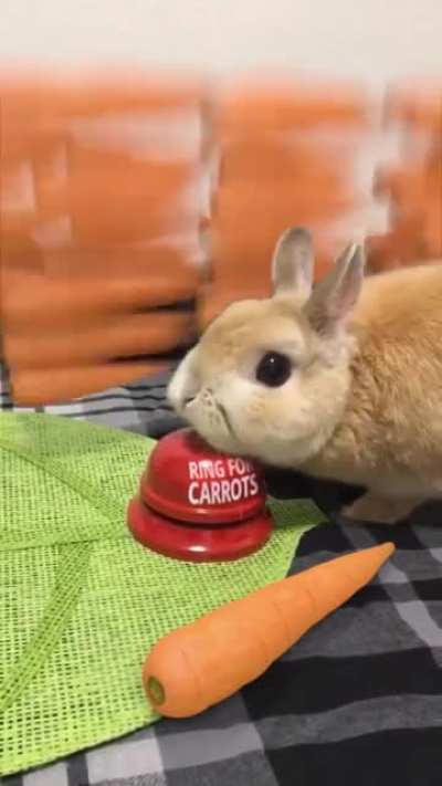 Carrot bell