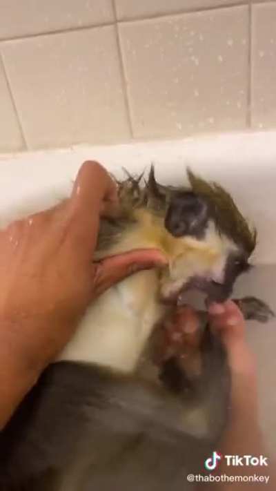 Peruano feliz