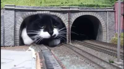 ⚠️⚠️⚠<wbr>️ This is why you should NEVER stay near the exit of a railway tunnel!