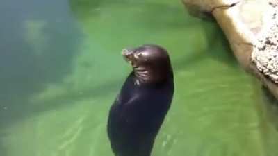 عقلي في الاختبارات: