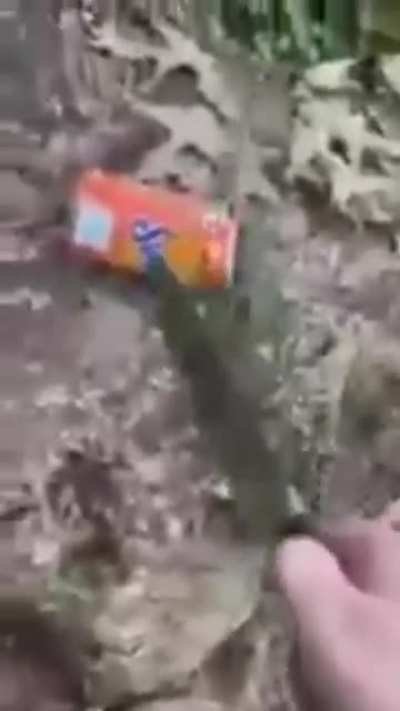 INSIGNIFICANT FUCK