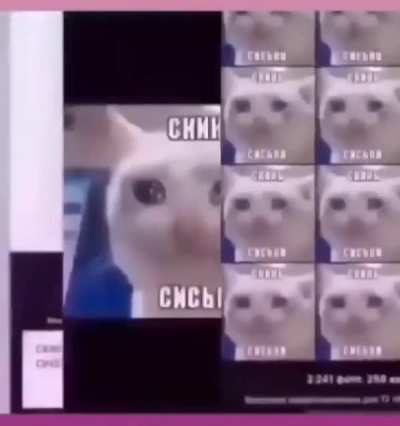 Не может найти блин