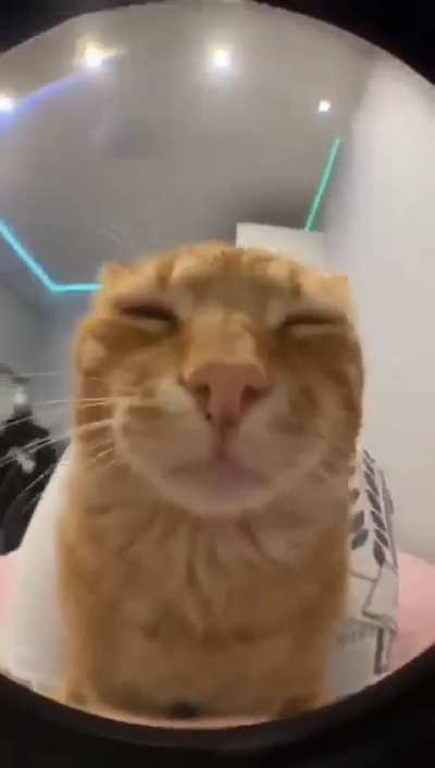 Wunking