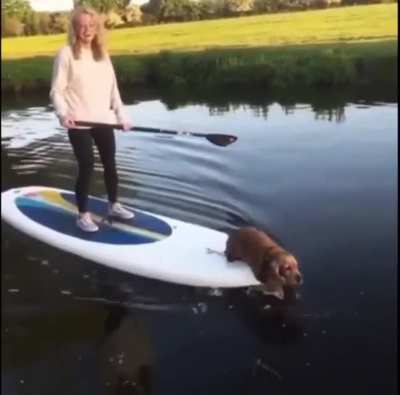 "I helps..."