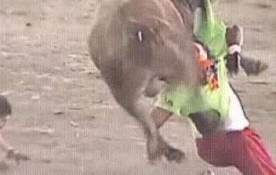 Rodeos are nuts!