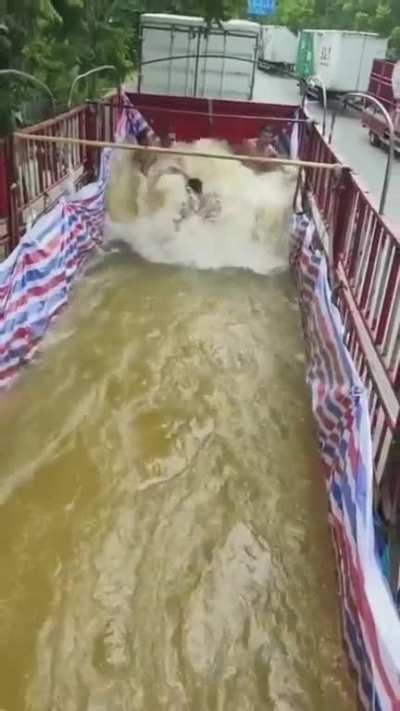 This looks fun