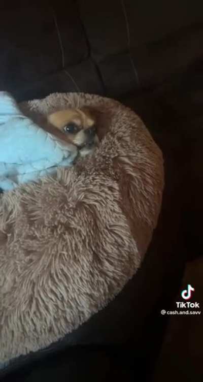 He&rsquo;s not a morning person