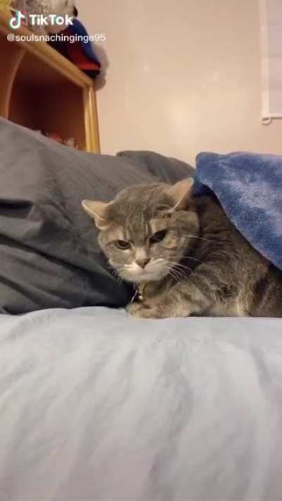 Not the blankey!