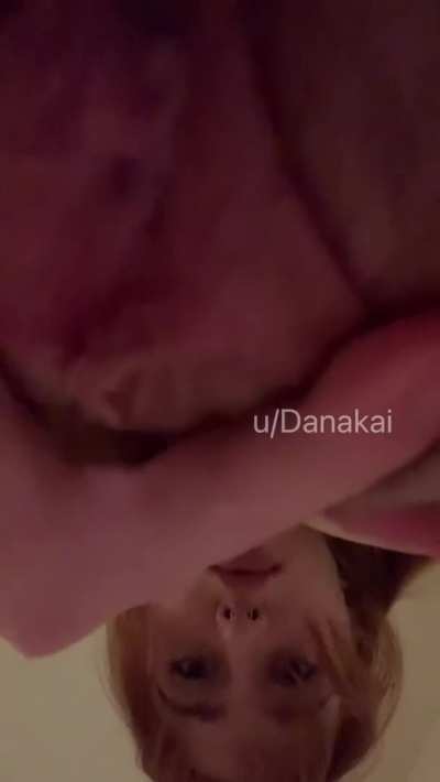 🐱🐱🐱