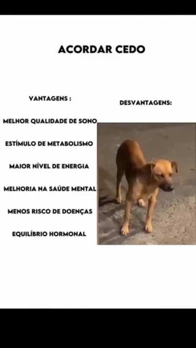 Acordar cedo 