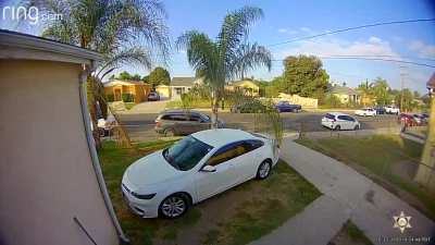 Footage of an ambush shooting in Willowbrook, California 2 weeks ago that left 1 dead. One suspect was last seen driving a Tesla while 3 other suspects were last spotted driving a Dodge Charger. It's believe the shooting was gang-related