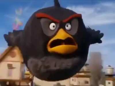 Bomb is coming meme