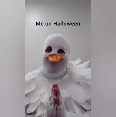 HONK!