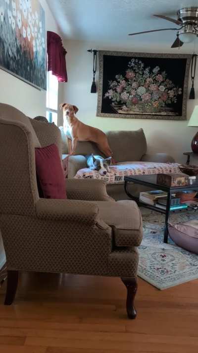 Wait for it...