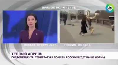 A dog in Russia grabbed the reporter's microphone and ran away during a live broadcast
