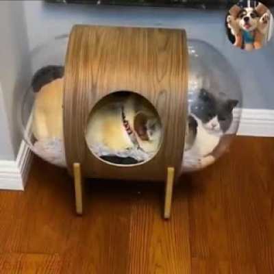 How the hell do I get out of here?