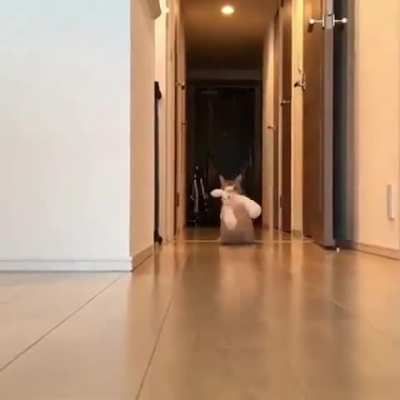 Confident gait