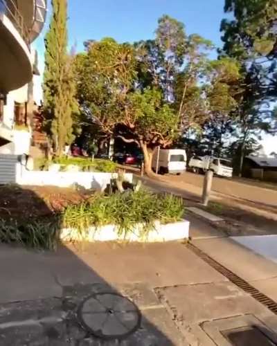 He couldn&rsquo;t just take the stairs?