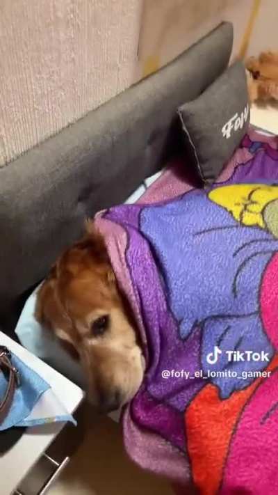 Lo que merece Sim&oacute;n 